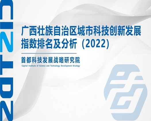 大奶被操逼的网站【成果发布】广西壮族自治区城市科技创新发展指数排名及分析（2022）